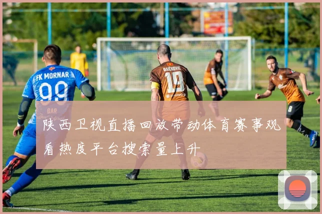 陕西卫视直播回放带动体育赛事观看热度平台搜索量上升